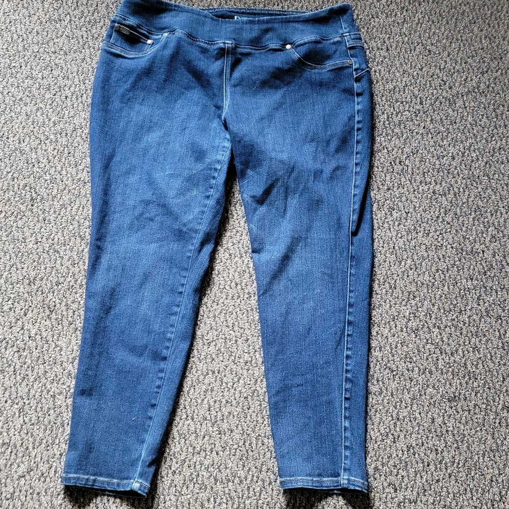 DG2 by Diane Gilman Dark Wash Stretch Jeggings Size 1X